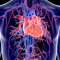 İşte çok fazla tuz tükettiğinizde vücudunuza olanlar