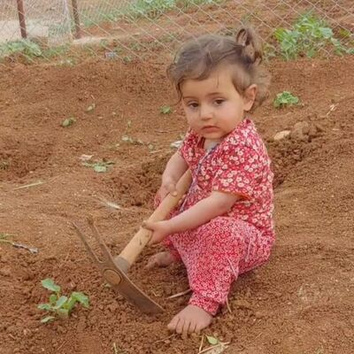 Zekiye 4 yaşındaydı! Bu kaçıncı ölüm?