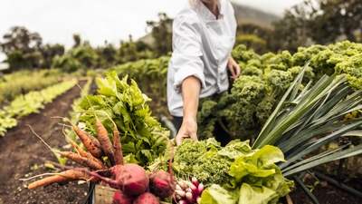 Ürünlerde pestisit alarmı! İkisi yasaklı madde