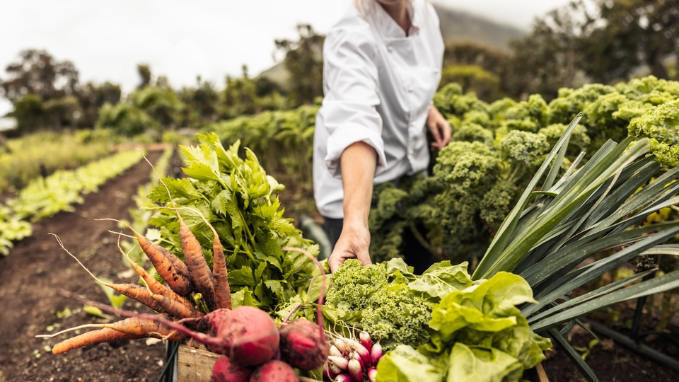 Ürünlerde pestisit alarmı! İkisi yasaklı madde