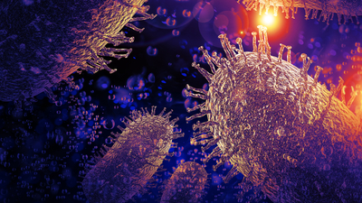 Bilim insanlarından köpek gribine karşı uyarı!