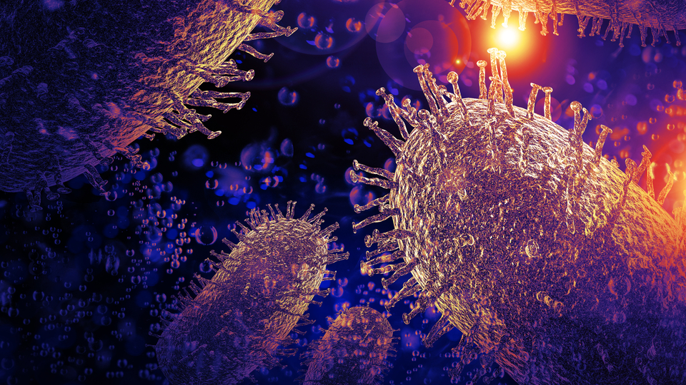 Bilim insanlarından köpek gribine karşı uyarı!