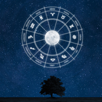 11 Mayıs hangi burç?