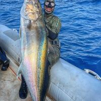 Akya balığı nedir, nasıl bir balıktır?