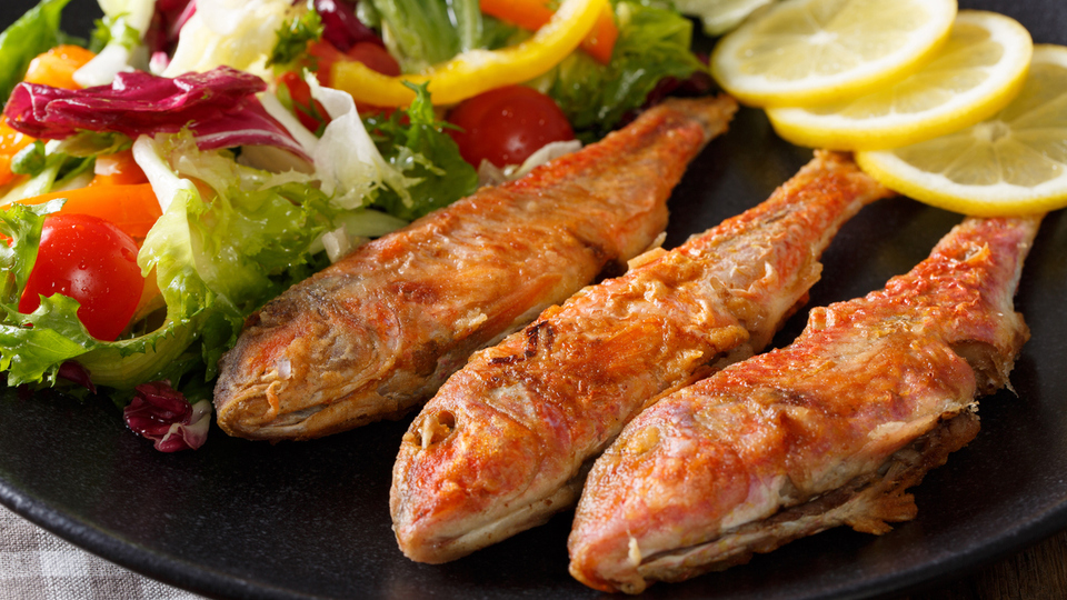 Barbun balığı nedir, nasıl bir balıktır?