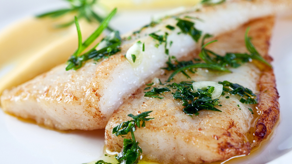 Dil balığı nedir, nasıl bir balıktır?