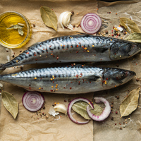 Uskumru balığı nedir, nasıl bir balıktır?