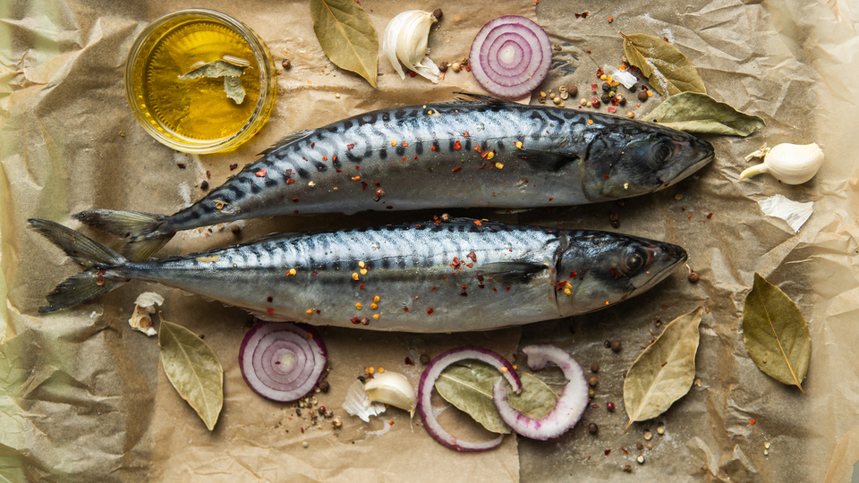 Uskumru balığı nedir, nasıl bir balıktır?