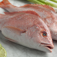 Kırlangıç balığı nedir, nasıl bir balıktır?