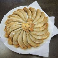 Mezgit balığı nedir, nasıl bir balıktır?