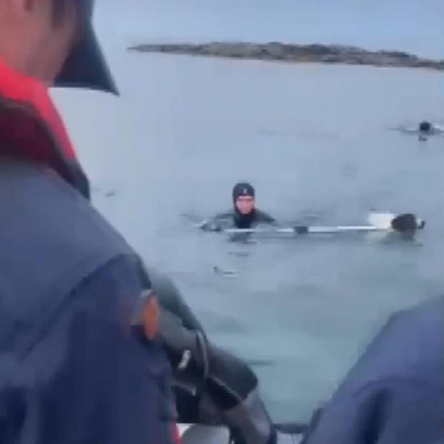 Adada mahsur kalan köpek için seferberlik!