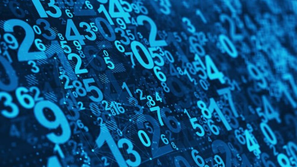 55 nerenin plakası?