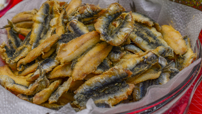 Balıklarda ilaç kalıntıları tespit edildi