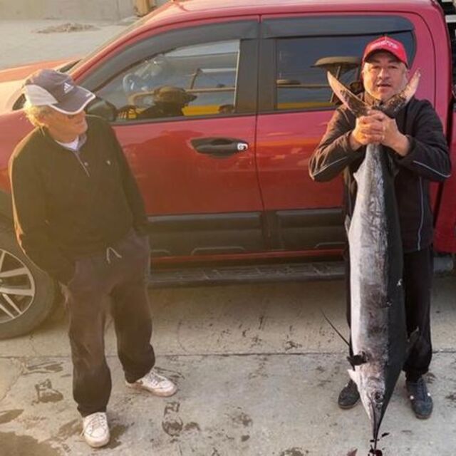 Balıkçıyı şaşırtan av! 2 metre, 50 kilo