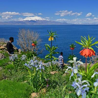 Mevsim şimdi ilkbahar