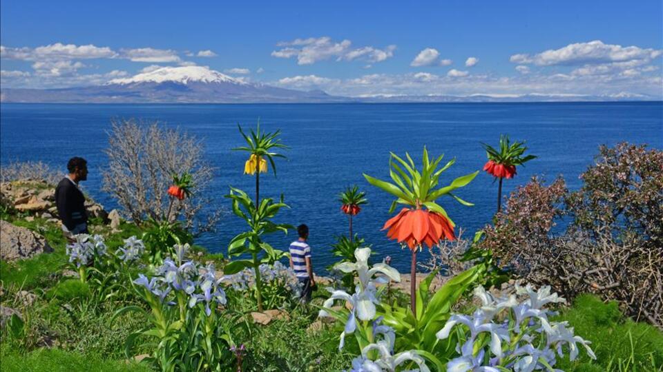 Mevsim şimdi ilkbahar