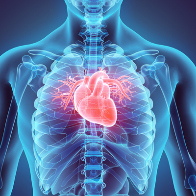 20'li yaşlardan sonrası kalp ve damar hastalığı için risk!