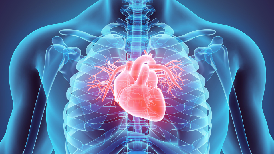 20'li yaşlardan sonrası kalp ve damar hastalığı için risk!