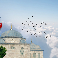 Kuşkonmaz Cami'ye neden kuşkonmaz?