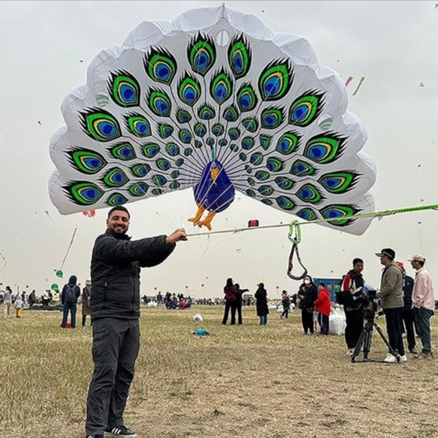 Mardinli Mungan uçurtmasıyla Çin'de altın madalya kazandı