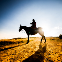 14 yaşında babasına isyan edince kör edilen şehzade