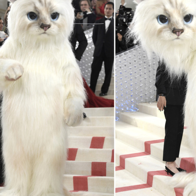 Merakla beklenen galaya yıldız yağmuru!