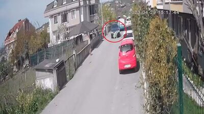 Köpeği göz göre göre ezdi! Hiç mi için acımadı?