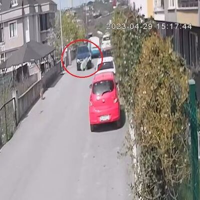 Köpeği göz göre göre ezdi! Hiç mi için acımadı?