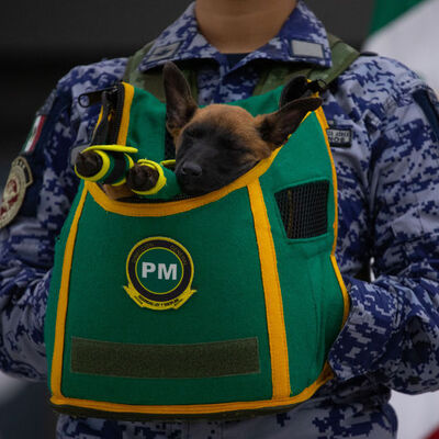 Hafızalara kazınan Proteo anısına Türkiye'den Meksika'ya hediye