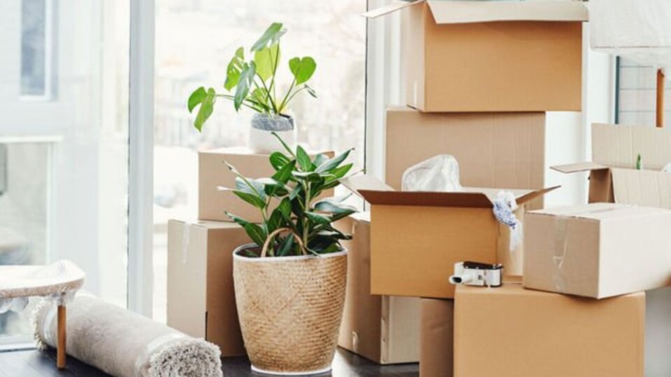 İstanbul ve Ankara'da taşınma hareketliliği