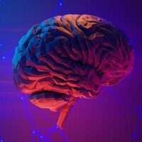 Bu 9 farklı zekâ türünden siz hangisisiniz?