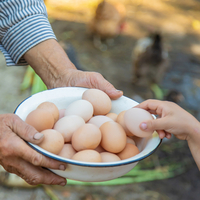 Çok fazla yumurta yerseniz ne olur?
