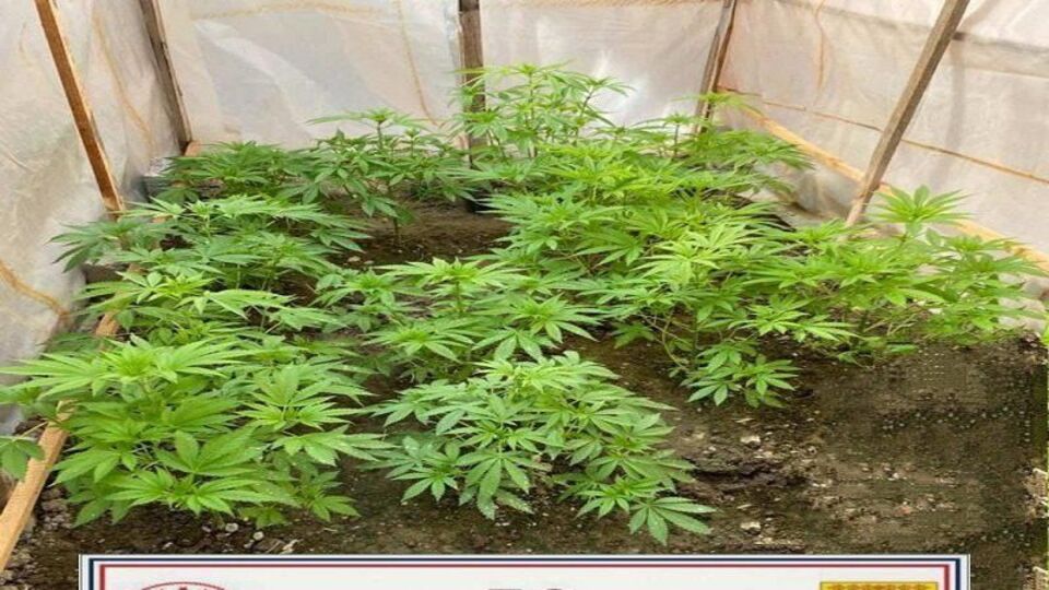 Ankara'da uyuşturucu operasyonu: 13 gözaltı