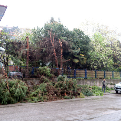 Elektrik tellerine temas eden ağaçların budanmasına soruşturma