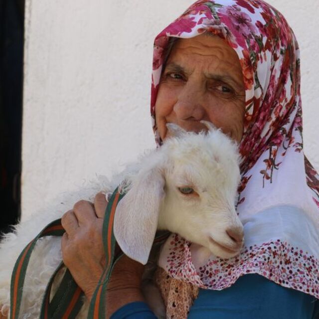 Kuzusuna bebek gibi bakıyor, yanından hiç ayırmıyor