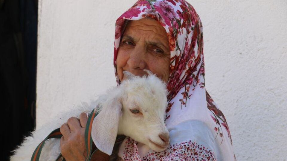 Kuzusuna bebek gibi bakıyor, yanından hiç ayırmıyor