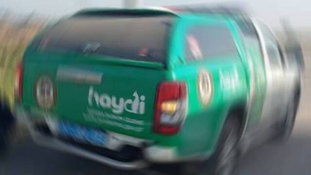 Ölen koyunları araziye bırakan şüpheli yakalandı