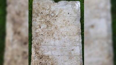 İnternetten 20 bin liraya satışa çıkarmışlardı! Koruma altına alındı