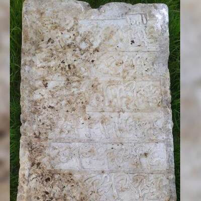 İnternetten 20 bin liraya satışa çıkarmışlardı! Koruma altına alındı