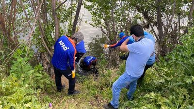 Dicle Nehri'nde cansız beden bulundu
