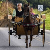 Teknolojiyi reddederek yaşayan toplum Amişler