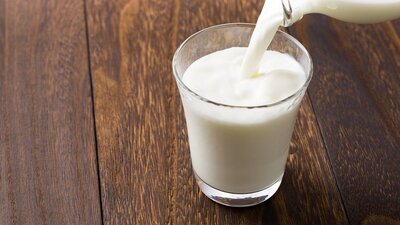 Toplanan inek sütü miktarında artış