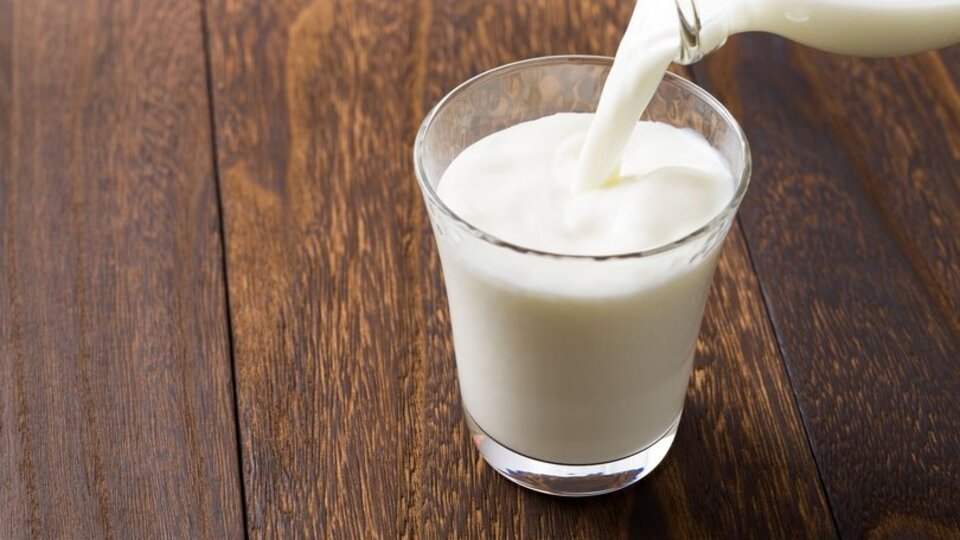 Toplanan inek sütü miktarında artış