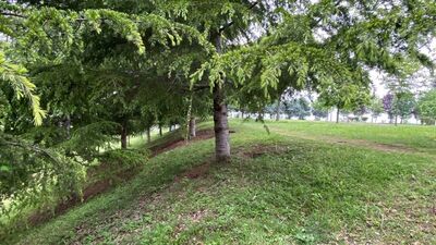 Silahla vurulmuş halde bulundu