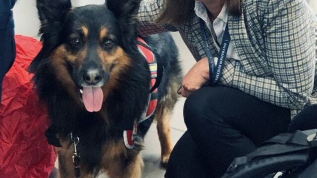 Kahraman "Aaron" hayatını kaybetti