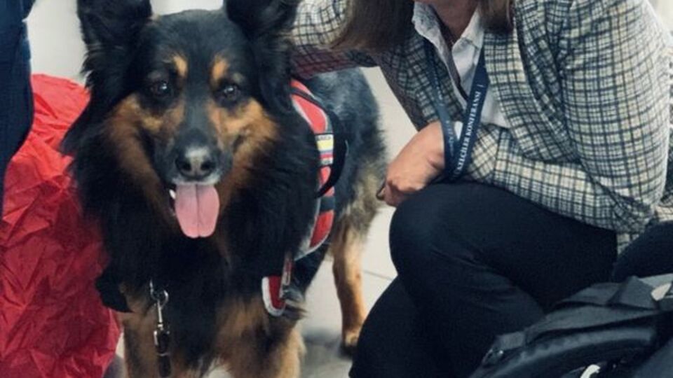 Kahraman "Aaron" hayatını kaybetti