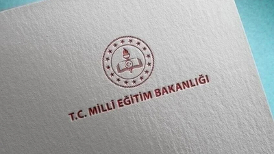 MEB, tercih başvurusunda bulunamayan 234 engelli öğretmeni atadı