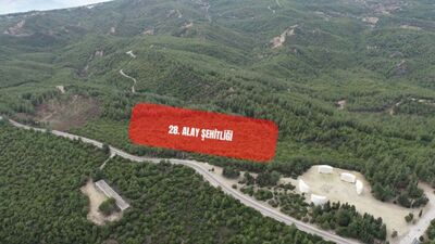 108 yıl sonra kayıp şehitlik bulundu