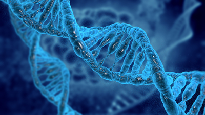 Ayak izi veya nefesten insan DNA'sı tespit edilebiliyor