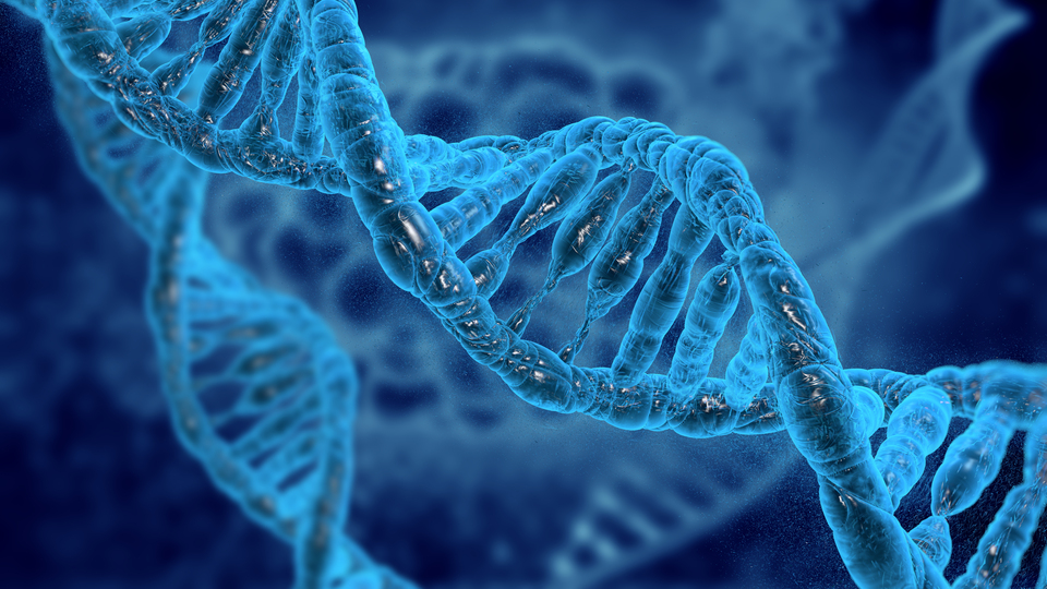 Ayak izi veya nefesten insan DNA'sı tespit edilebiliyor